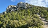 Randonnée Marche Pourrières - Pourcieux :Mont Olympe et Pas du Titet - Photo 10