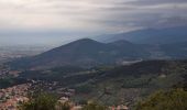 Randonnée A pied Montemurlo - Sentiero CAI 70 - Sez. Prato - Photo 3