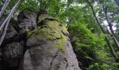 Excursión A pie okres Prievidza - Náučný chodník Vtáčnik - Photo 6