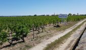 Randonnée Marche Saint-Laurent-Médoc - autour de Pauillac  - Photo 12