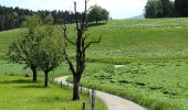 Trail On foot Würenlos - Würenlos - Altberg - Photo 1