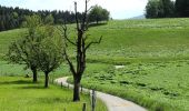 Percorso A piedi Würenlos - Würenlos - Altberg - Photo 1