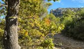 Trail Walking Pourrières - Pourcieux :Mont Olympe et Pas du Titet - Photo 4