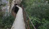 Randonnée Marche Quinson - Quinson, les basses gorges et la chapelle Ste Maxime - Photo 9