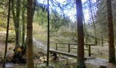 Percorso A piedi Pegnitz - Rundweg Hollenberg 4 grün - Photo 8