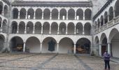 Percorso Marcia Bitsch - Aller retour Bitsch Brig - Photo 1