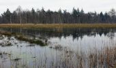 Trail Walking Maldegem - Drongengoedbos - Photo 2