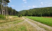 Tour Wandern Florenville - Les Epioux 200824 - Photo 4