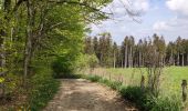 Randonnée Marche Gouvy - Au fil de l'eau - Gouvy   - Photo 4