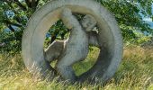 Tocht Te voet Mistelgau - Obernsees Neubürg-Rundweg - Photo 10