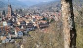 Tour Wandern Münster im Elsass - Gunsbach & le sentier Schweitzer par Haslach - Photo 2