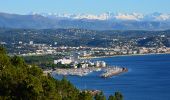 Tocht Stappen Théoule-sur-Mer - Théoule - Pont Sarrazin - Mont Saint Martin - Sommet Grosses Grues - Col Notre Dame - Photo 7