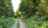 Randonnée Marche Rethondes - en forêt de Laigue_15_07_2021_autour du Mont du Fouilleux et du Mont des Singes - Photo 19