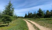 Trail Walking Saint-Maximin - Saint Maximin, boucle  par Saint Siffret - Photo 2