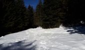 Randonnée Marche Saint-Christophe-sur-Guiers - La Ruchere - Col de l'Allienard - Photo 6