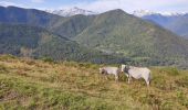 Tocht Stappen Larnat - Cap de la Lesse - Photo 8