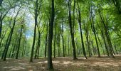 Randonnée Marche Genappe - Promenade de Bousval - Photo 3