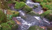 Trail Walking Gérardmer - gerardmer saut de la bourrique cascade merel - Photo 8