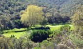 Tour Wandern Collobrières - SityTrail - chapelle st guillaume  - Photo 8