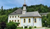 Tour Zu Fuß Thalgau - Schernthan Wanderweg - Photo 6