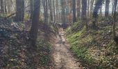 Tour Wandern Gooik - Oetingen - Photo 2