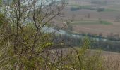 Trail Walking Yenne - balcon belvédère yenne - Photo 3