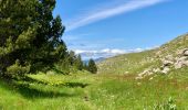 Trail Walking Manteyer - Montagne de Ceüse - Photo 7