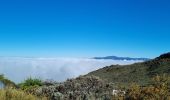 Tour Wandern Cilaos - jour 5 la Réunion refuge piton des neiges - Photo 1