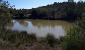 Excursión Marcha nórdica Fréjus - MN - Colle Douce - Carrefour Castelli - Photo 2