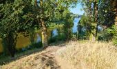 Trail Walking Amboise - Amboise - À la découverte des trésors cachés - Photo 11