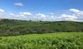 Excursión Senderismo Hasparren - Haitzader boucle courte - Photo 11