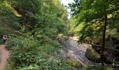 Trail Walking Vic-sur-Cère - Pas de Cère- cascade de Gourdole - Photo 10