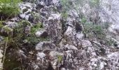 Excursión Senderismo Châtelus - la grotte des Gaulois, le pas de l' Echarasson, porte du diable, pas de charmate - Photo 7