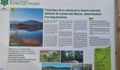 Excursión Senderismo Le Cannet-des-Maures - lac des escarcets - Photo 11