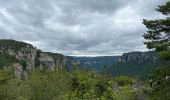 Trail Walking Saint-Pierre-des-Tripiers - 21 06 07 Les corniches de la Jonte et du Tarn - Photo 13
