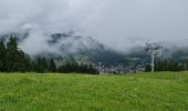 Randonnée Marche La Clusaz - Les Converses, Les Étages, Crêt du Merle, Les Tollets, Les Converses  - Photo 8