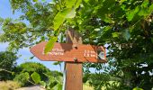 Tour Wandern Ernztalgemeinde - 2023-06-12_15h25m40_Sentier_local_-_M4 - Photo 2