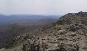 Tocht Te voet Dèsulu/Desulo - Girgini - Rifugio La Marmora - Photo 1