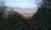 Tour Wandern Montaud - DENT DE MOIRANS GROUPE 1 - Photo 2