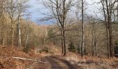 Trail Walking Stoumont - stoumont . targnon .la sûreté  . monthouet . stoumont  - Photo 2