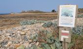 Tour Wandern Penvénan - Port blanc - Pointe du Château  - Photo 14