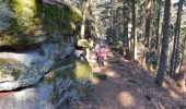 Randonnée Marche Ottrott - Mont Sainte-Odile - Tour du mur Païen - Photo 10