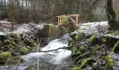 Randonnée A pied Steinbach am Wald - Buchbacher-Weg - Photo 1