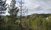 Tour Wandern Les Baux-de-Provence - Sentier Les Baux de Provence  - Photo 6