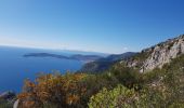 Randonnée Marche Cap-d'Ail - La tête de chien-boucle Cap D'ailleurs AR - Photo 6