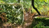 Trail Walking Chamarande - Forêt Départementale du Belvédère à Chamarande - Photo 16
