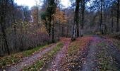 Excursión Bici de montaña Virton - T2022-11-27-17-41 - Photo 5