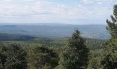 Tour Wandern Bédoin - Le sentier Marcel archimard  - Photo 5