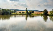 Tocht Te voet Lichtenfels - Klosterlangheimer Rundweg - Photo 2