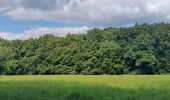 Percorso Marcia Spa - artistes . delcor . malchamps . berinzenne . thier des stats. havette  - Photo 7